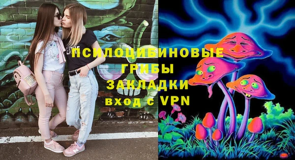 a pvp Богородск